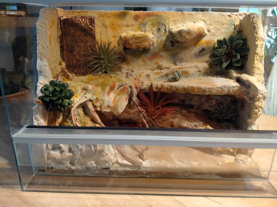 Terrarium dla gekona