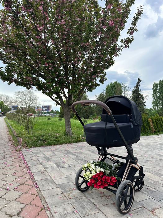 Cybex priam 4.0 rose gold 2в1