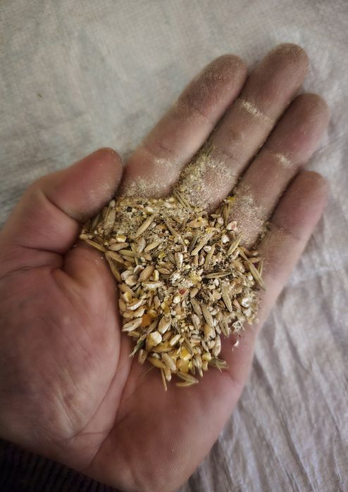 Pasza Mieszanka dla Kur Drobiu Niosek