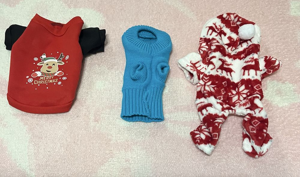 Roupa de cão sem uso