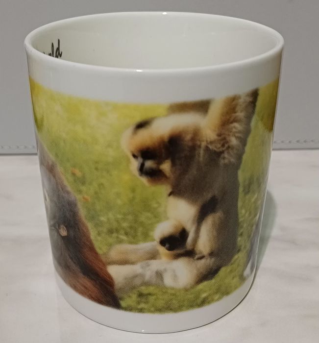 Чашка из тонкого фарфора марки G.W.P Fine China.