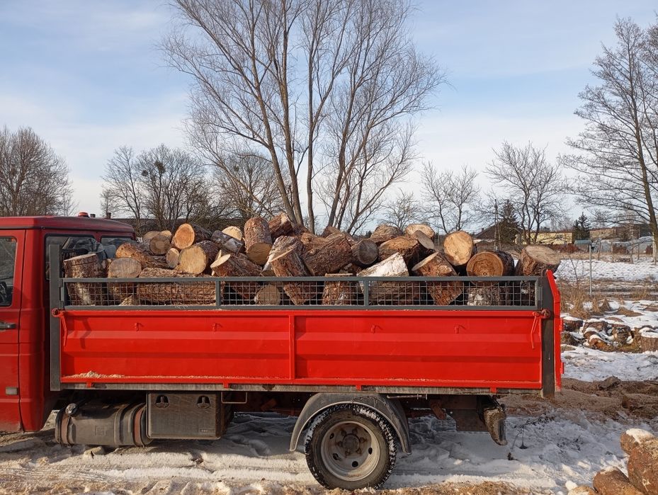 Sosna sucha Drzewo Drewno z transportem