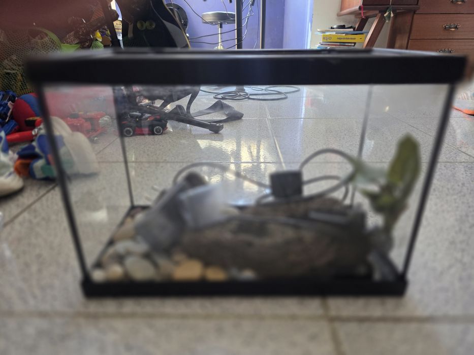 Aquário com bomba