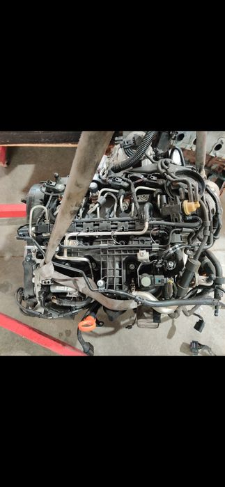 Motor golf 6 TDI