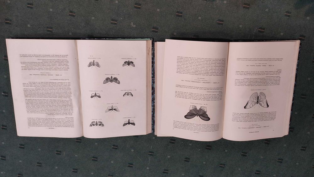 Encyclopédie D'Histoire Naturelle Traité Complet -Papillons - 2 Vol