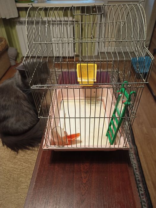 Клетки для птиц бу