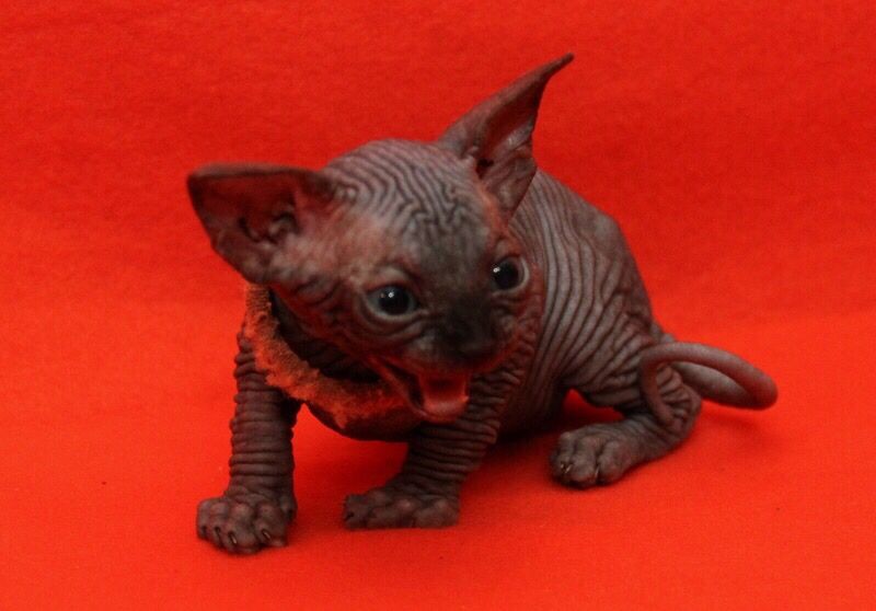 Супер красивые малыши