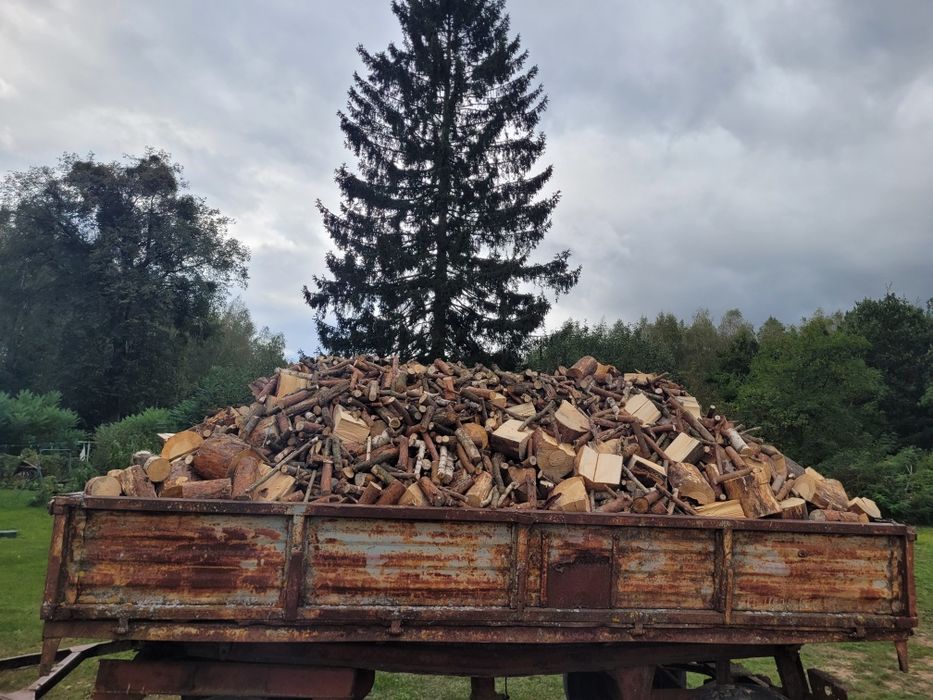 Sprzedam drewno drzewo