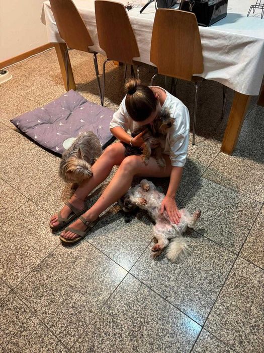 Serviço de Babysitting e/ou Petsitting