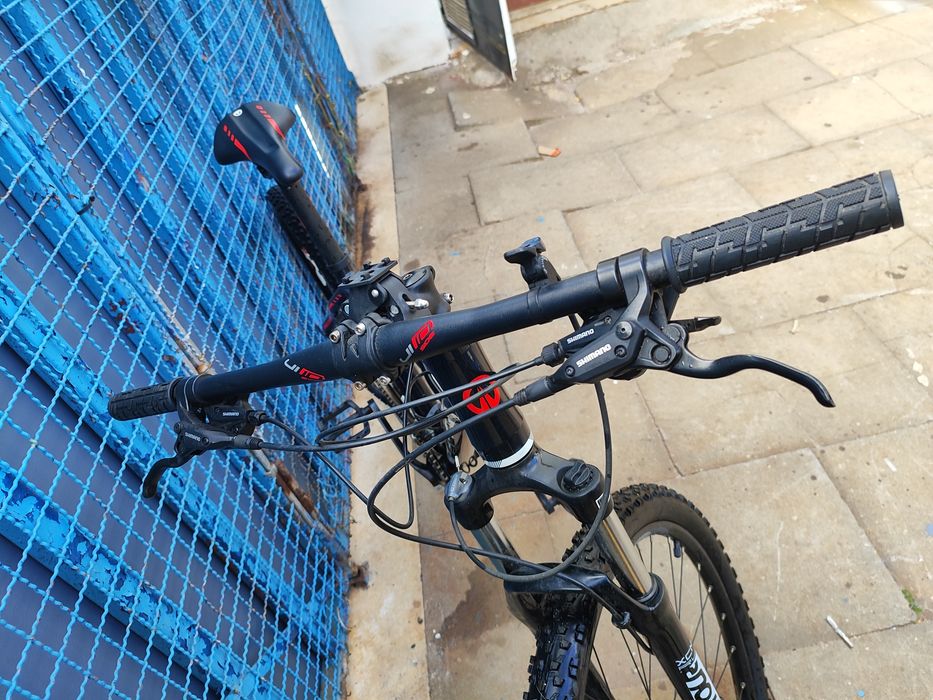 Bicicleta flame 29