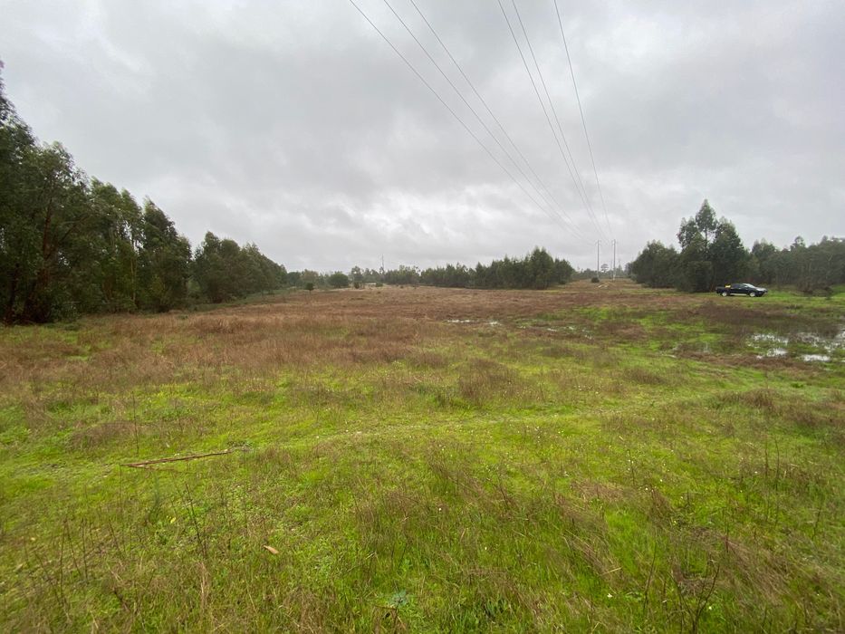 Terreno 19640m2 Marinhais (Salvaterra)