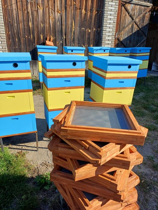 Ul , ule wielkopolskie 10 ramek, styrodur 700