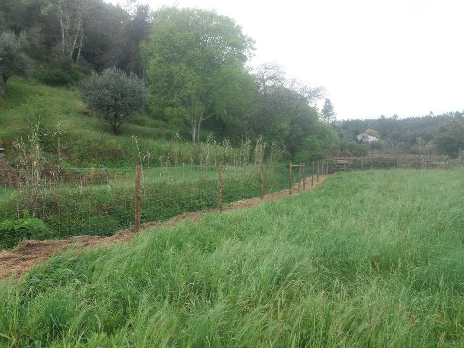 Vedações rede ovelheira e outras