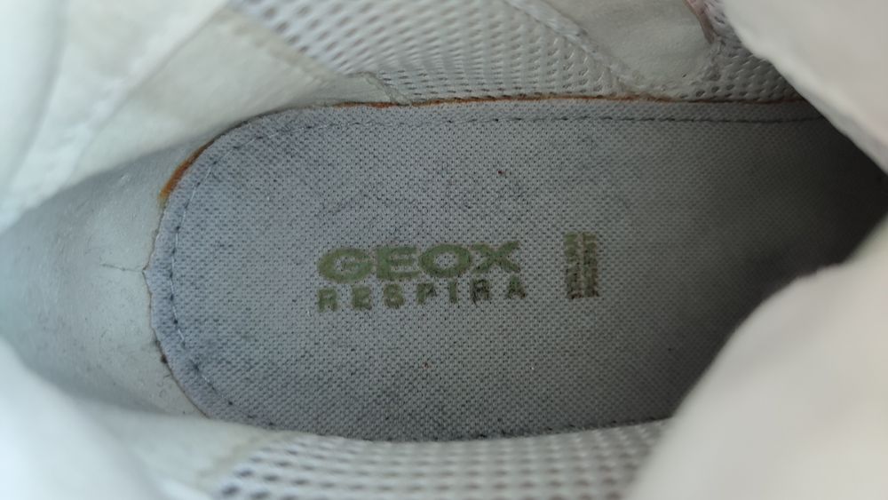 Жіночі снікерси Geox