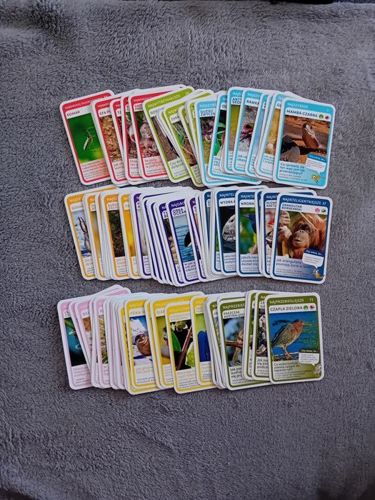 Zestaw kart 102 sztuk z zwierzetami dzikimi