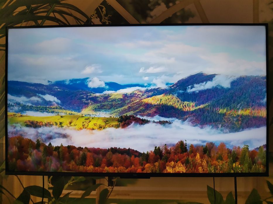 Телевізор TCL 43P755 (43", 4К Ultra HD)