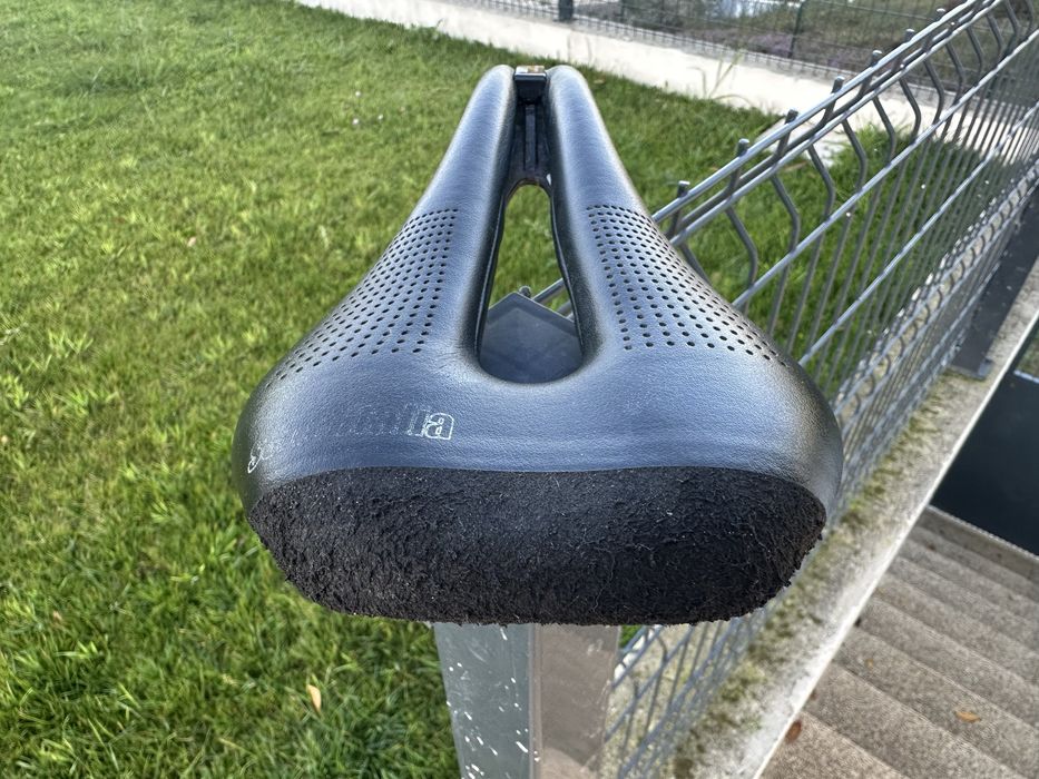 Selim selle italia novus