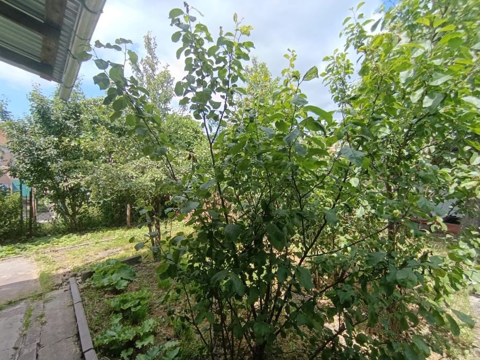 Будинок за адресою вул. Сполучна (площа 83 м²) - Atlanta.ua - фото 3