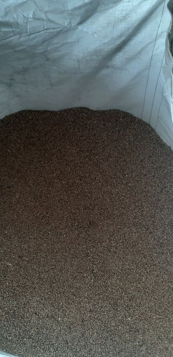 Pszenżyto ozime 2025