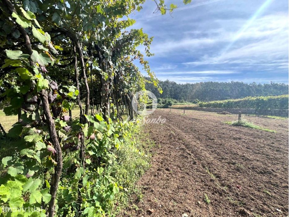 Terreno em Barcelos