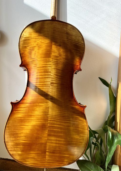 Violoncelo 4/4 Sielam Capriccio 2015
