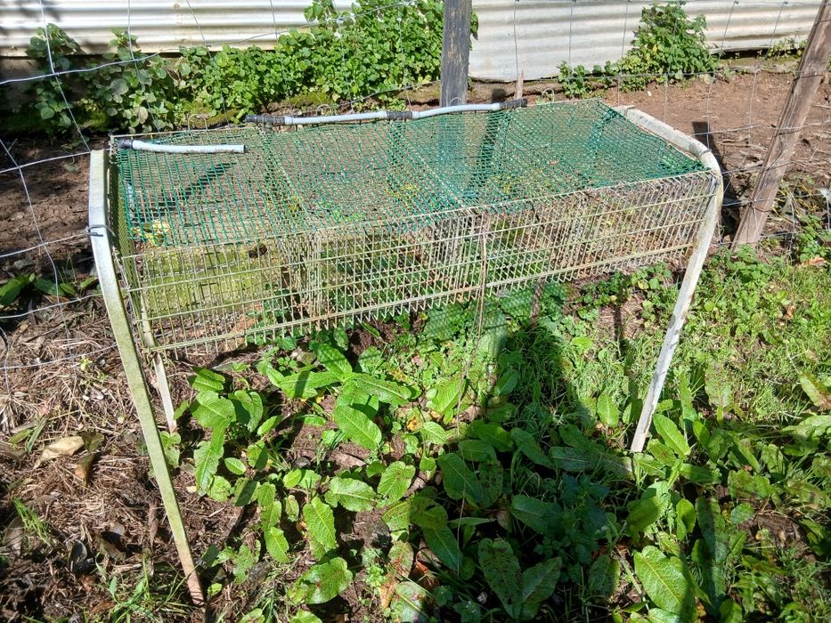 Gaiolas para codornizes