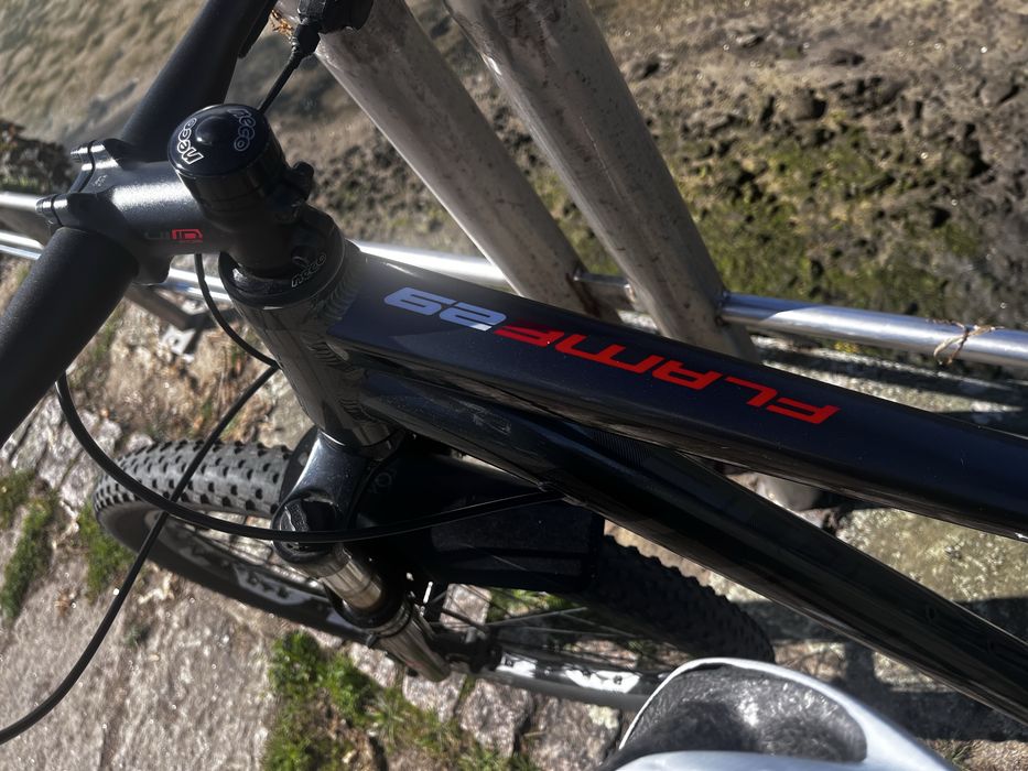Bicicleta Deed Flame 29 - M
