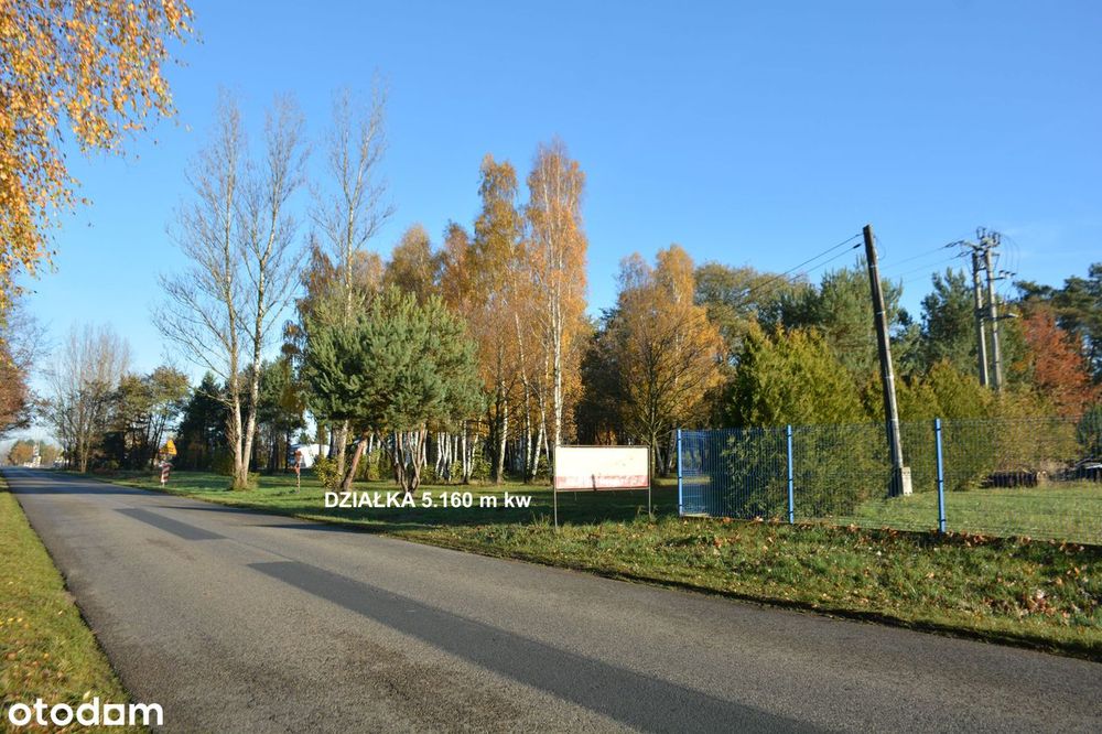 Działka 5160 m kw przezn. pod zabudowę handlowo - usługowo - prod. - View 2