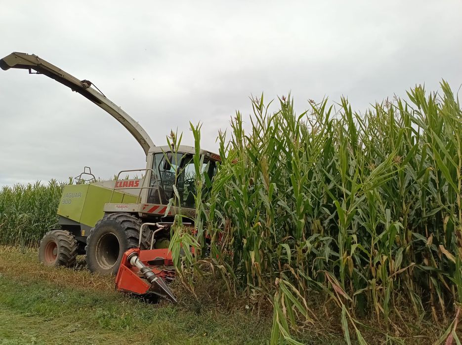 Sieczkarnia Claas jaguar 900 970!