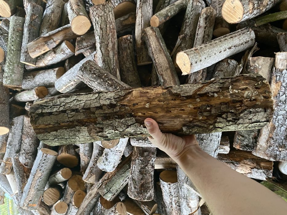 Drewno opałowe olcha