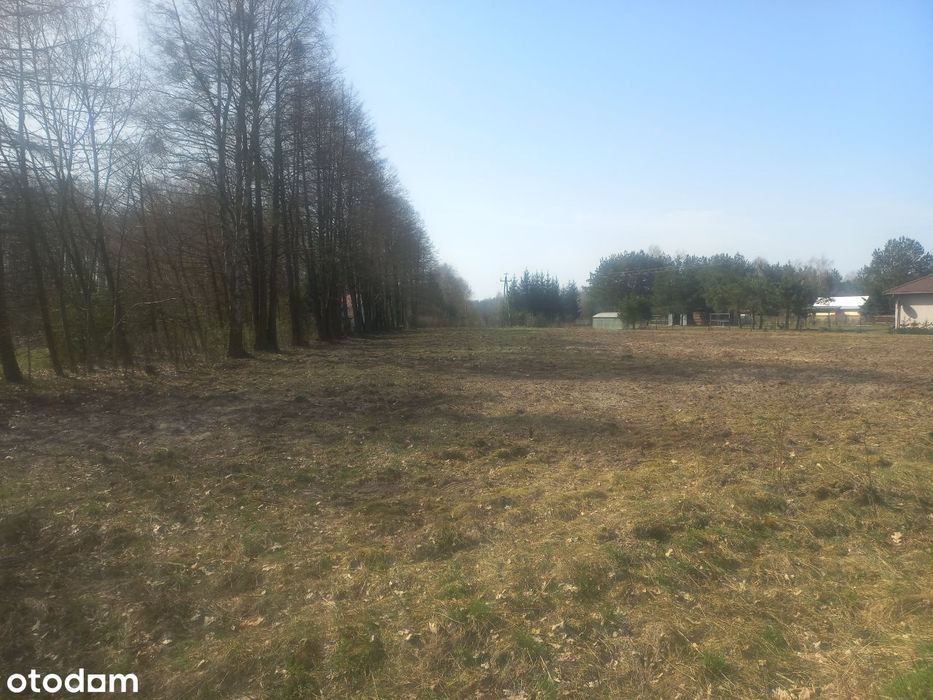 Działka rolna z warunkami zabudowy, uzbrojona, Kolonia, Mazury