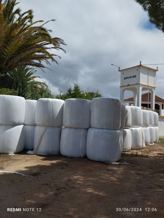 Bolas de feno silagem de azevém