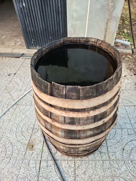 Pipa antiga vintage