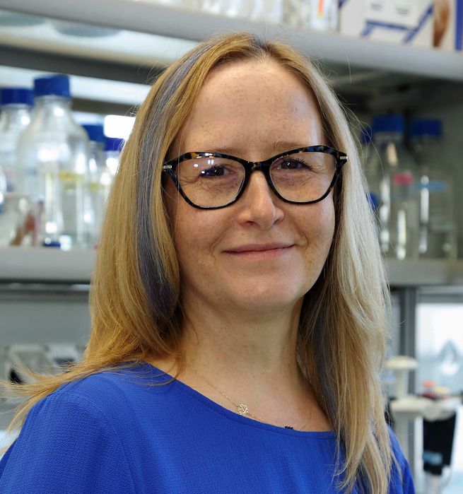 Biologia bez stresu – korepetycje online – szkoła podstawowa, liceum, matura
