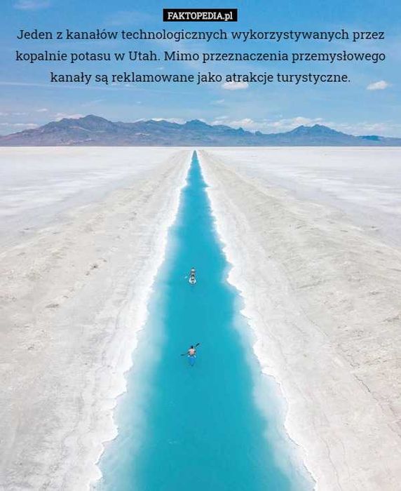 Jasnowidz sesja 1na 1