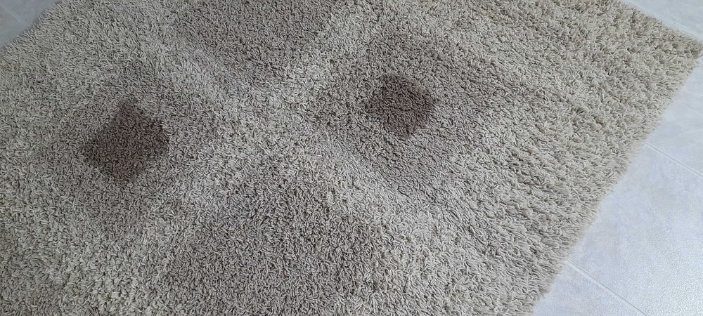 Carpete em bom estado.