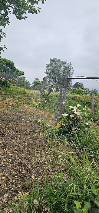 Terreno  para venda