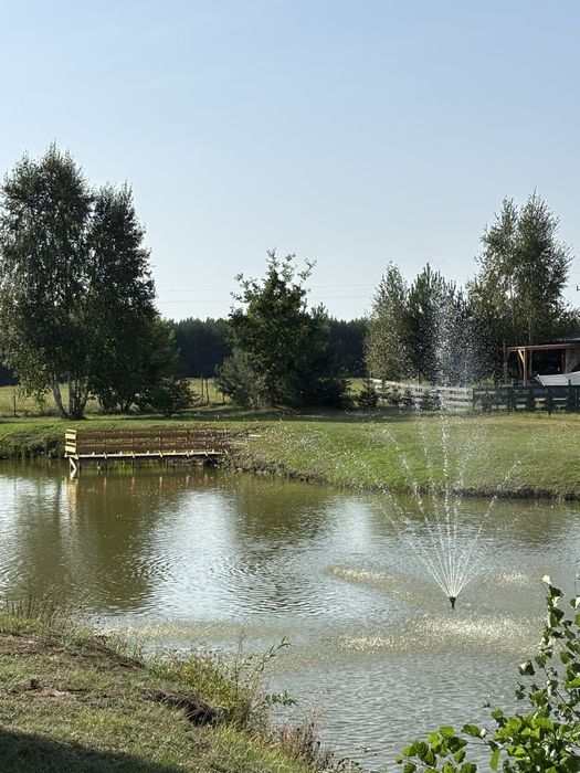 Dom letniskowy nad stawem do wynajęcia, Nowa Wieś