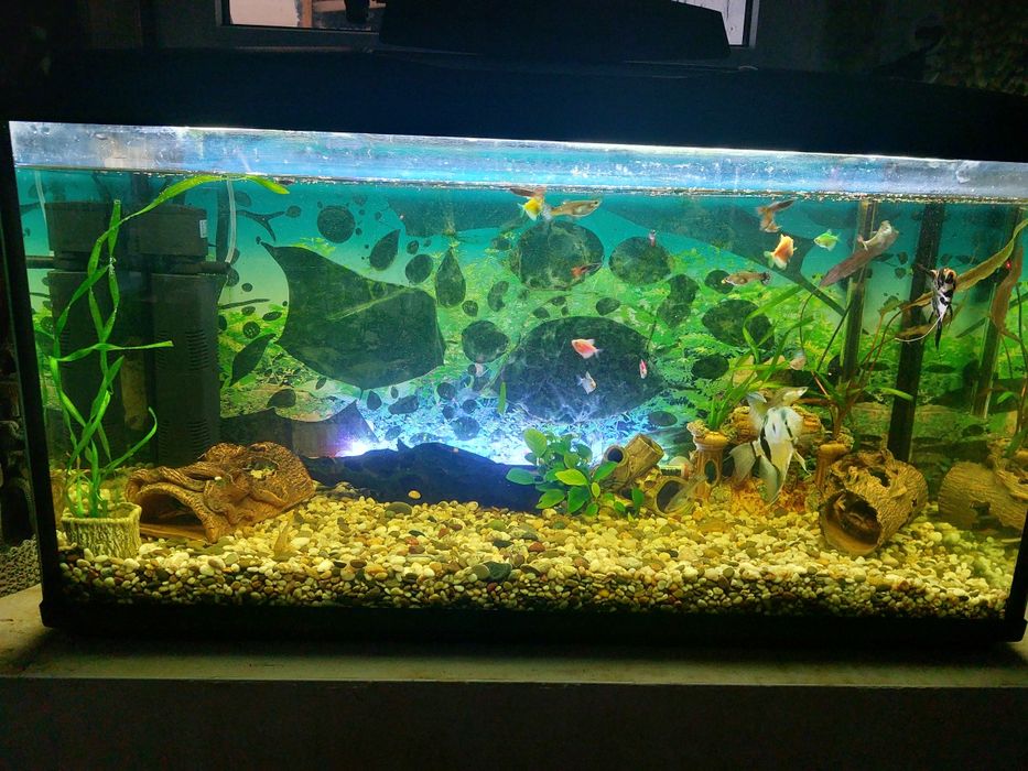 Аквариум 200 литров