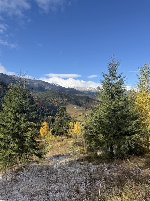 20 соток у Дземброні