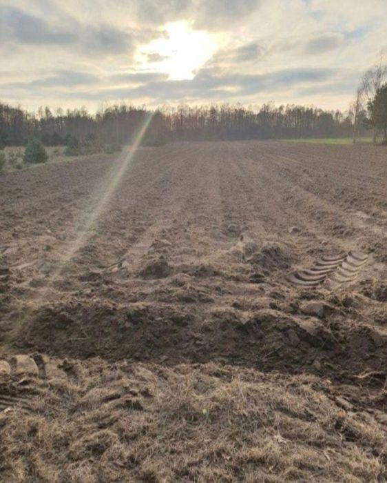 Oddam ziemie w dzierzawę 13ha