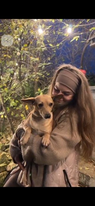 Malutki samiec do adopcji