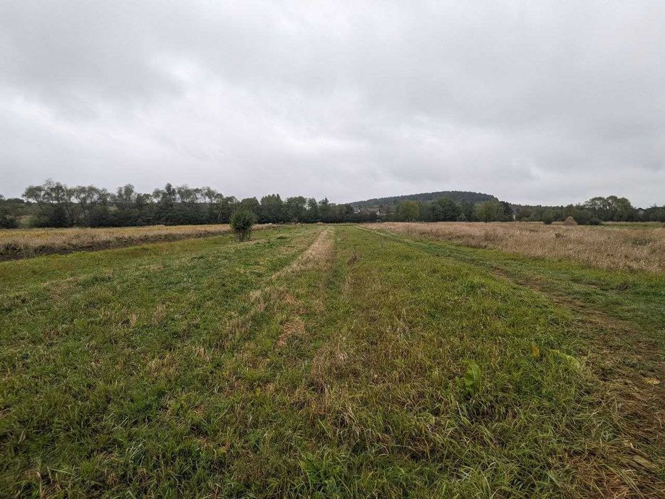 Продається ділянка 25 сот  в с. Старий Лисець (8)