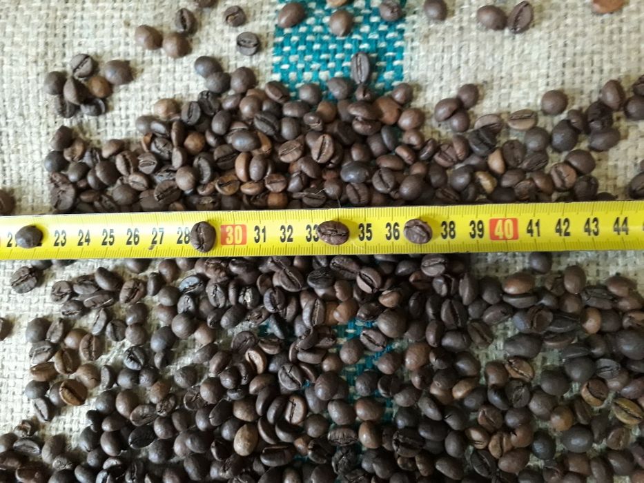 Кава / Кофе в зернах В'єтнам WP 18 scr.