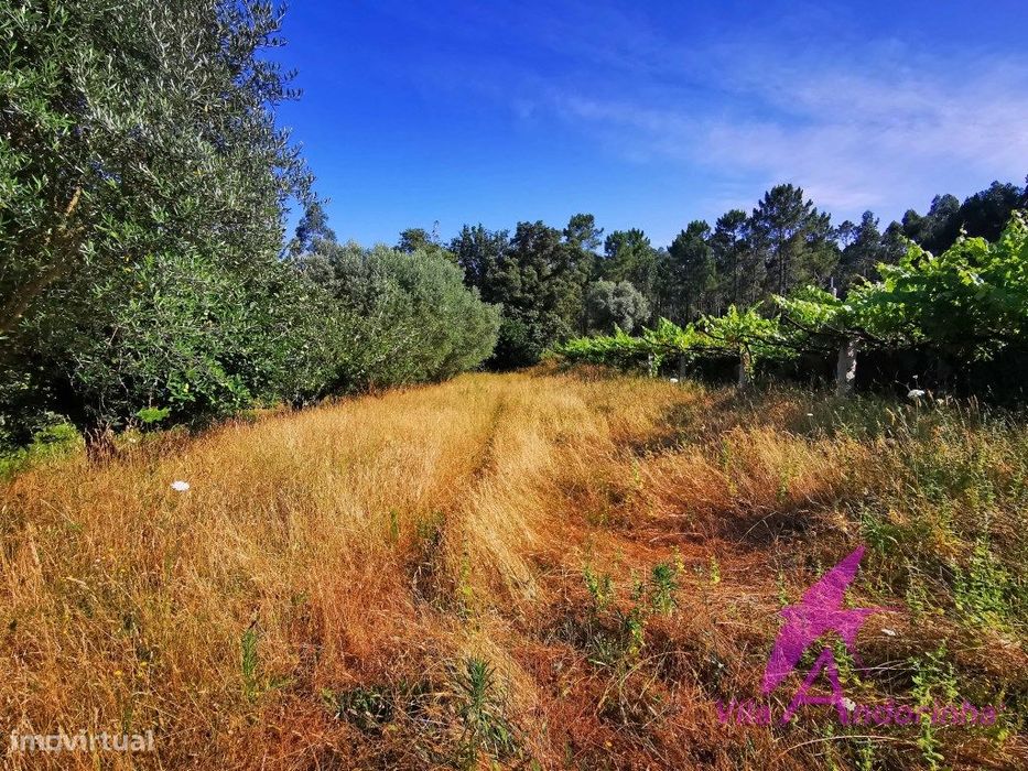 Terreno 2814M2, um refúgio natural a poucos minutos da cidade. — Nogueira, Meixedo E Vilar De Murteda, Viana do Castelo
