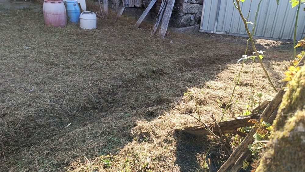 Casa de habitação para restaurar