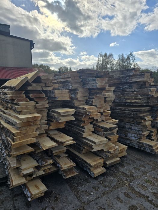 Tarcica brzozowa, brzoza