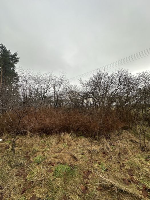 Karczowanie, wycinka dzrzew, roboty ziemne