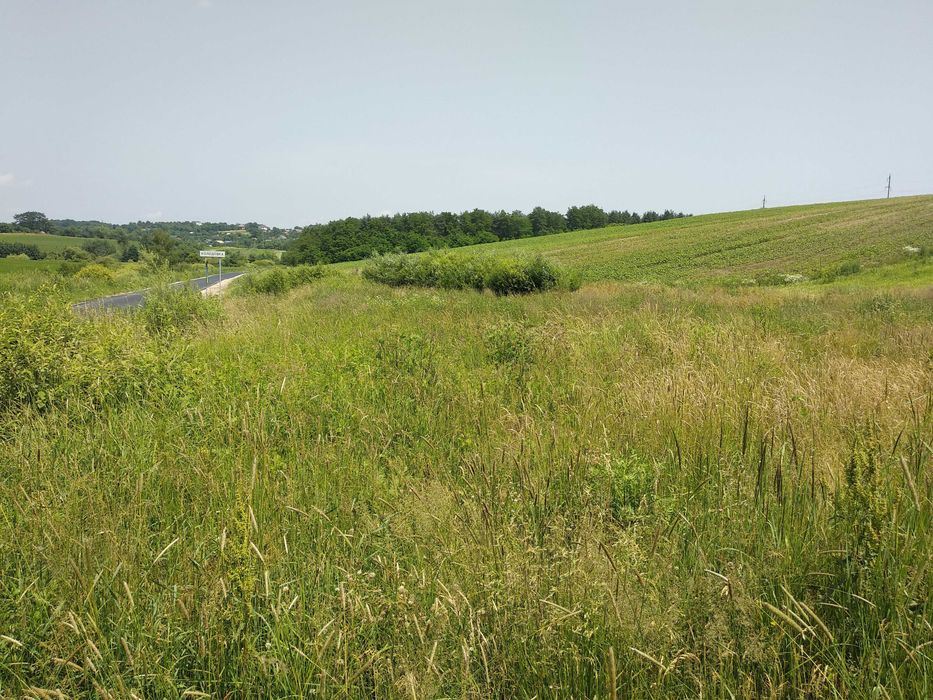 Продається ділянка на межі с. Колодіївка і с. Вовчинець, 1 лінія _RR