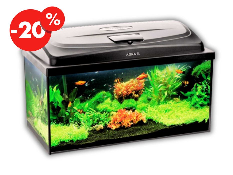 Aquael Classic Box 60 – Akwarium Proste Z Pokrywą LED - OKAZJA